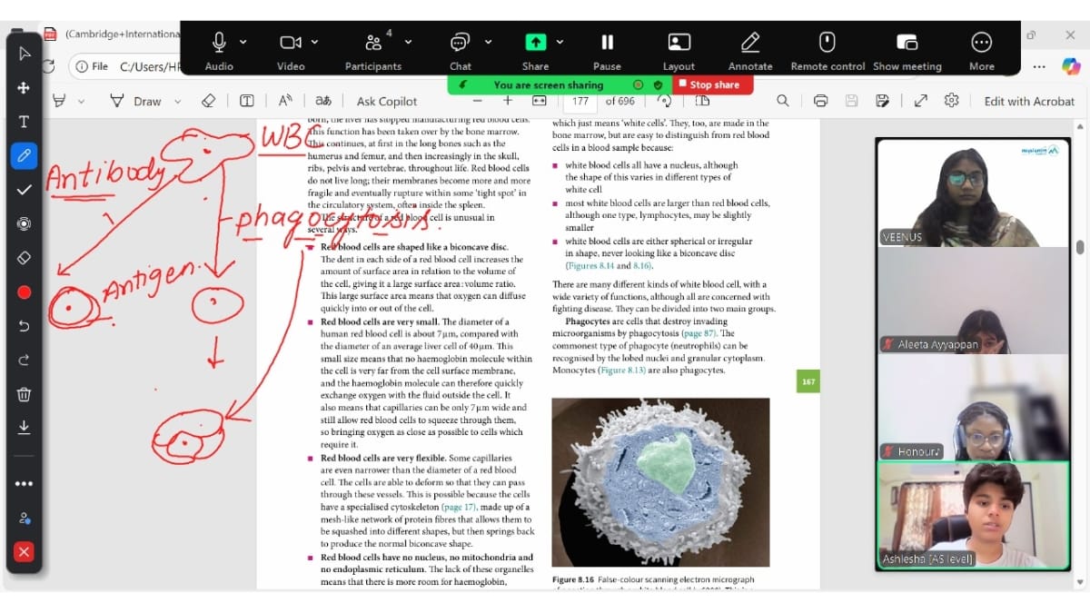 Online Education PNN